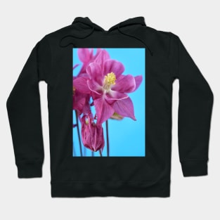 Aquilegia  Columbine Hoodie